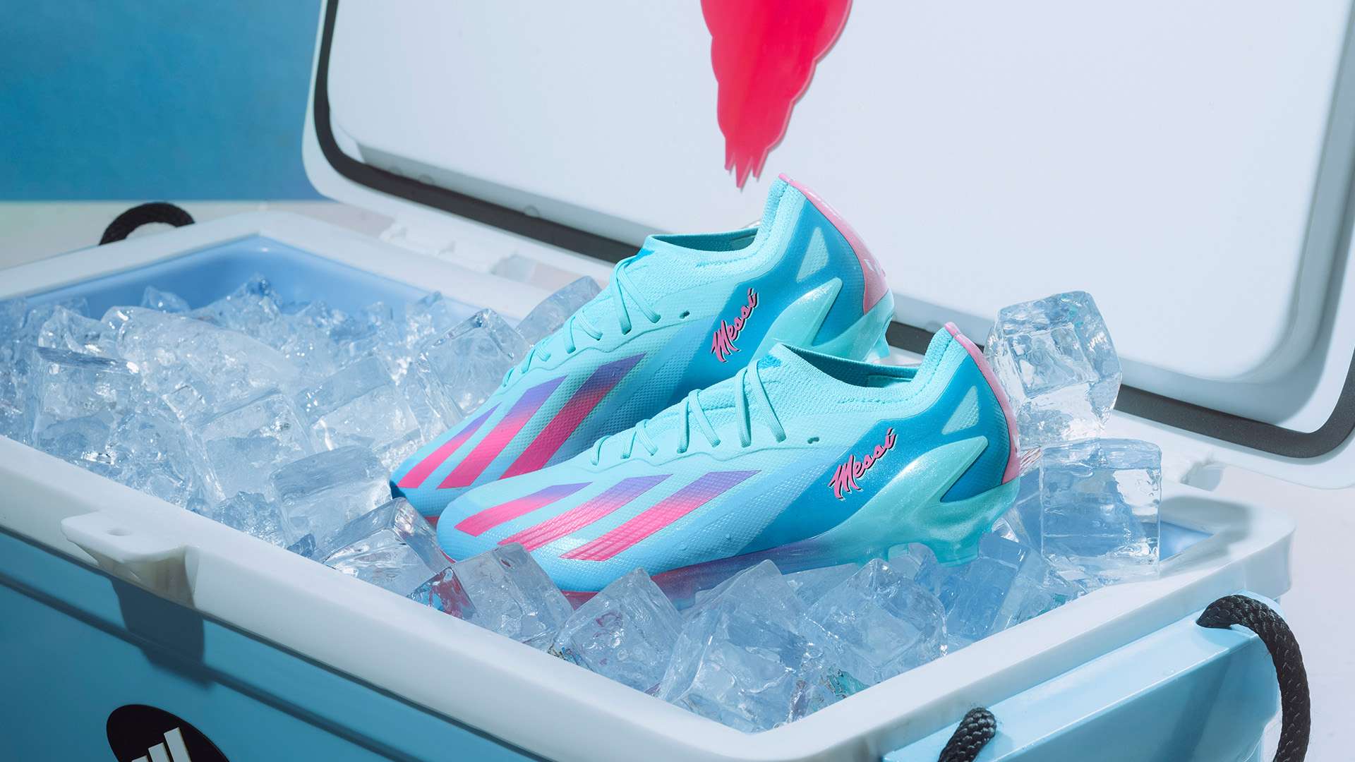 中往往面临 中往往面临